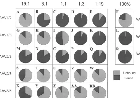 FIG. 3. Heparin batch binding proﬁles of rAAV mixed virions. Totals of 1010rAAV1/3, rAAV2/3, rAAV2/5, and rAAV3/5 mixed virions or the rAAV1, rAAV2, or rAAV3 viral controls were applied to 50agarose, washed, and eluted as described in Materials and Methods