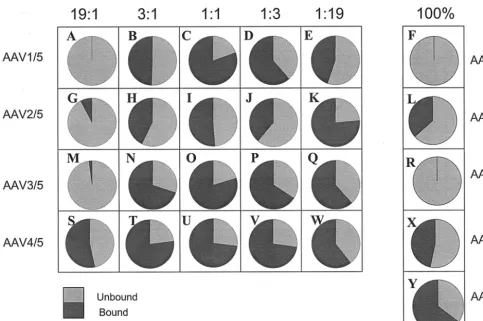 FIG. 4. Mucin batch binding proﬁles of rAAV mixed virions. Totals of 109rAAV3/5, and rAAV4/5 mixed virions or the rAAV1 to rAAV5 viral controls were applied to 50described in Materials and Methods