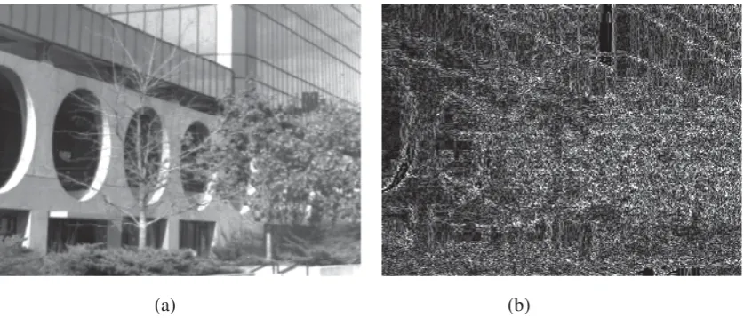 Fig. 3: (a) The original BUILDING.TIF file and (b) an image of differences between                BUILDING.TIF and its .JPEG compressed version