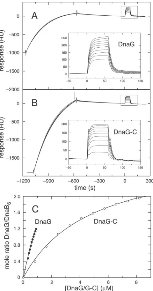TABLE IIStatistics of the final X-ray structure of DnaG-C