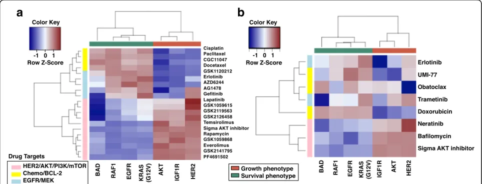 Fig. 5 Growth factor receptor network phenotypes reflect dichotomous drug response in breast cancer cell lines