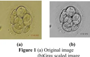 Figure 1 (a) Original image 