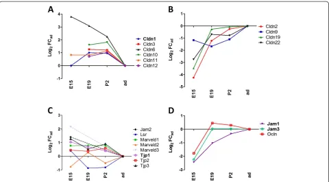 Figure 2 Developmental profiles of tight junction-associated genes in rat choroid plexus