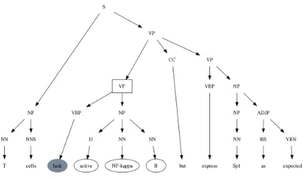 Figure 1: Parse tree of the sentence ‘T cells { lack active NF-kappa B } but express Sp1 as expected’ generated by the Stan-ford parser