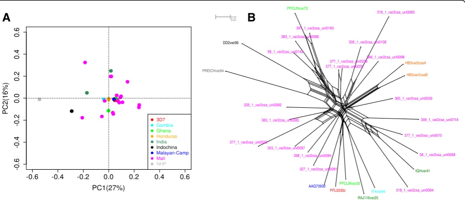 Fig. 6 Sequence similarity amongsequences reconstructed from the 12 Malian samples were aligned to VarDomthe multiple alignment was used to plot the PCA