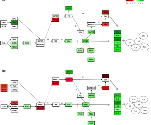 Fig. 4 Description of LPS-dependent gene expression modulationmentation,within MyD88-dependent pathway in PBMNC