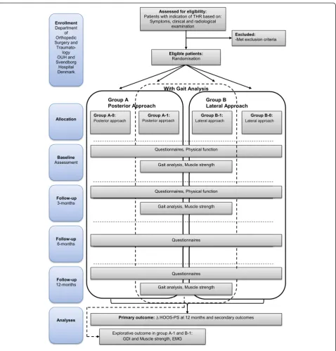 Figure 1 Study flow chart.