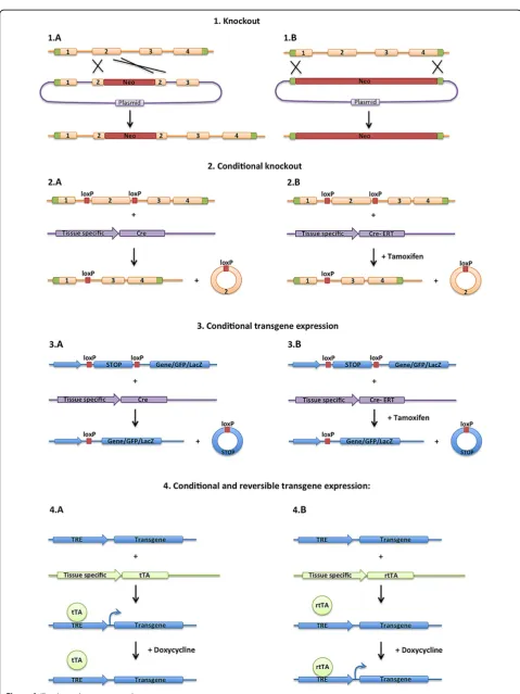 Figure 1 (See legend on next page.)