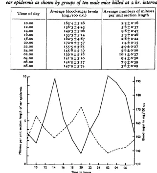 Table 1. The diurnal cycles in the blood-sugar level and in the mitotic activity of the 2