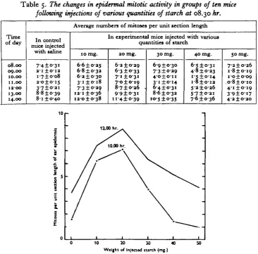 Table 5. The changes in epidermal mitotic activity in groups of ten mice 08.30