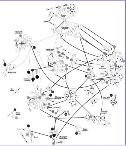 FIG. 1.Yeast galactose utilization pathway published in Ideker et al. (2001). (Printed with permission from Scienceand the American Association for the Advancement of Science.)