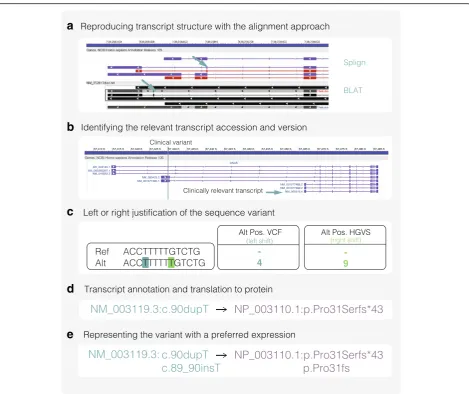 Fig. 1 Factors affecting HGVS syntax generation. a Transcript alignment approach can impact the transcript exon structure