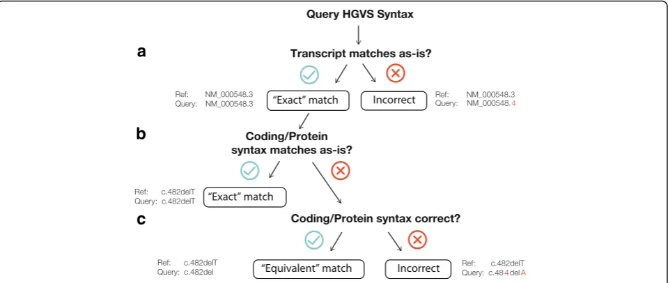 Fig. 2 Methodology of HGVS syntax comparison. To compare two HGVS expressions in our dataset, we applied the following assessments