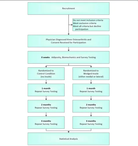 Figure 1 Flow of participants through the study.