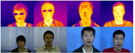 Figure 1. Some samples of thermal and corresponding visible images 