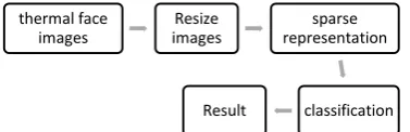 Figure 2. General identification steps of face recognition in thermal images 