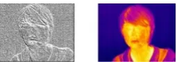 Figure 4. Applying Gaussian noise in 5 steps. Noise variance  is varing from  0 to 0.4 with step 0.1 respectively 