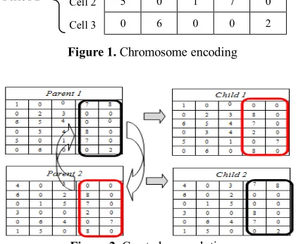 Figure 1. Chromosome encoding 