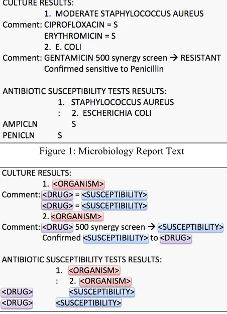 Figure 1: Microbiology Report Text 