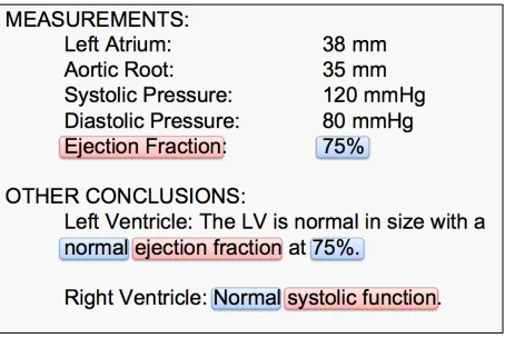 Figure 4: Annotated Echocardiogram Report 