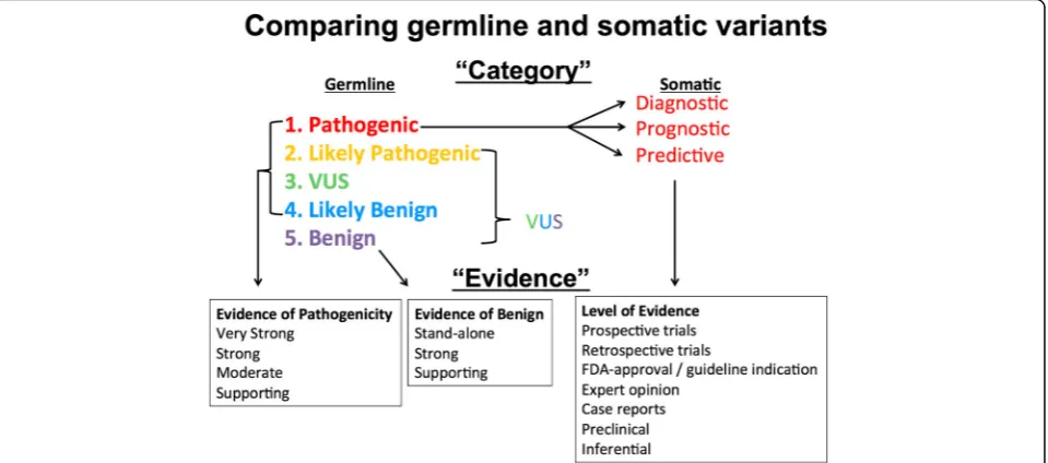 Fig. 2 Comparison of germline and somatic variant categories and evidence. The Pathogenic category in germline is split into three categories forsomatic: Diagnostic, Prognostic, and Predictive, VUS Variant of Unknown Significance