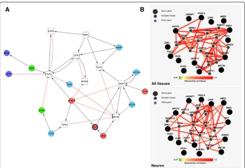 Fig. 1 RAI1MAP2K2relationship confidence = 0.5 and maximum number of genes = 15.Integrated Analysis of gene Networks in Tissues, http://giant.princeton.edu/) inare depicted in Molecular interactions