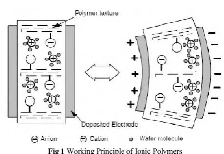 Fig 1 Working Principle of Ionic Polymers 