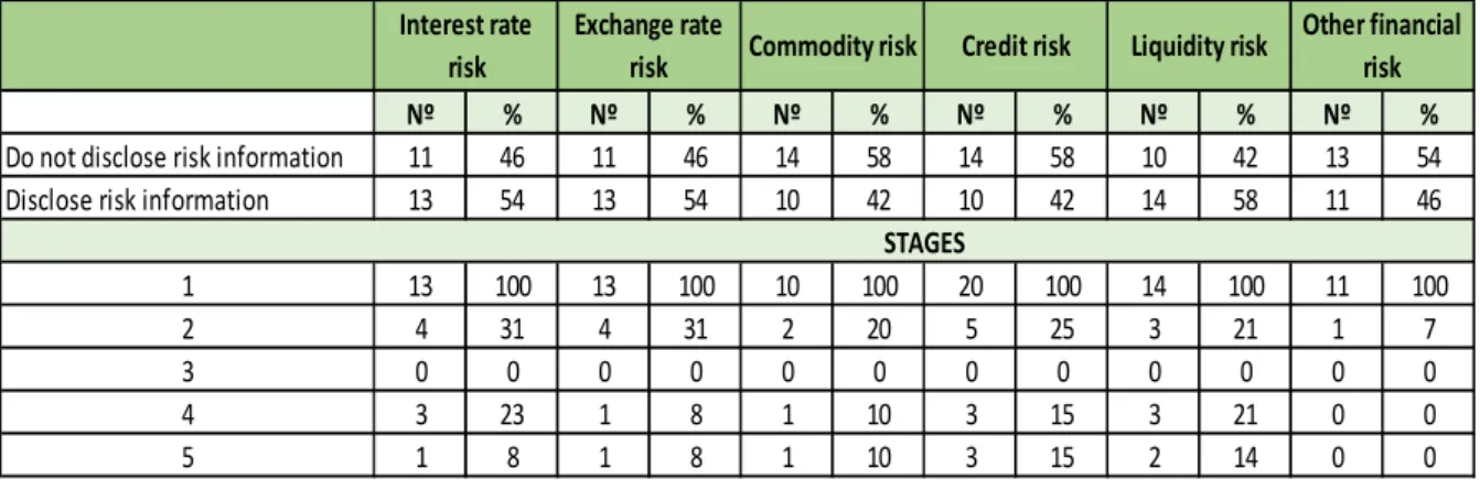 Table 3: Financial risk disclosure 
