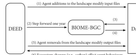 Figure 4. Structure of feedback between DEED and BIOME-BGC.Numbers indicate the sequence of steps in a single time step of acoupled model run