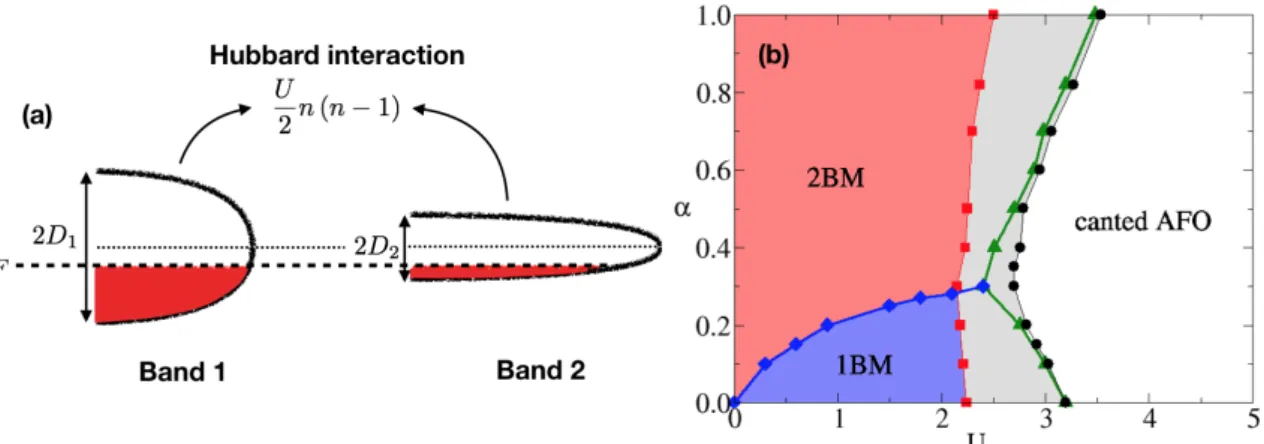 Figure 2.1: Panel (a): sketch of the studied model. It consists in two bands at quarter filling, where E F is the Fermi level