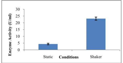 Fig 9 Effect of different incubation period (hrs) on pectinase production by Bacillus subtilis strain arium1115 