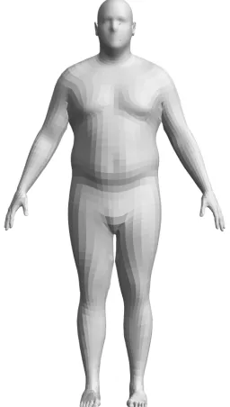 Figure 1. Standing pose used for scans with male Soldiers and Air Crew. Polygons of the template mesh are visible in the image