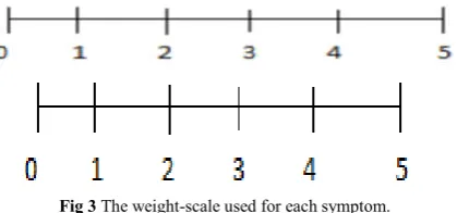 Fig 3 The weight-scale used for each symptom. 