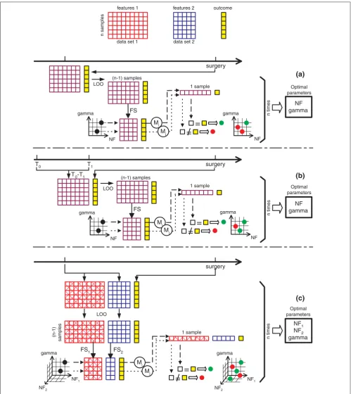 Figure 1Overview of the three applied model building strategies. (a) Use of a single data set; (b) manual integration of data over time; (c) a genome-wide