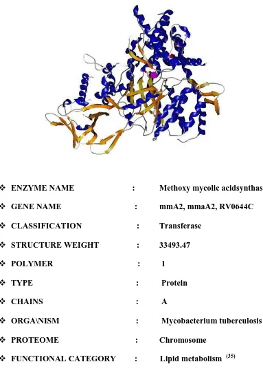 Figure .7 (33) Methoxy Mycolic Acid Synthase 2 