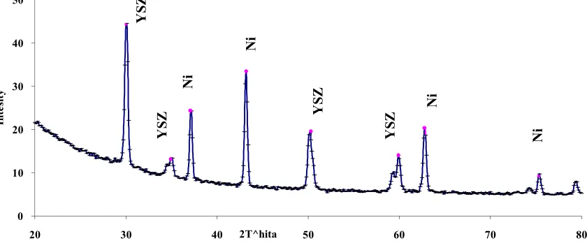 Figure 3. XRD patterns from the surface of the cross-section of the NGCs (YSZ/40%Ni) 