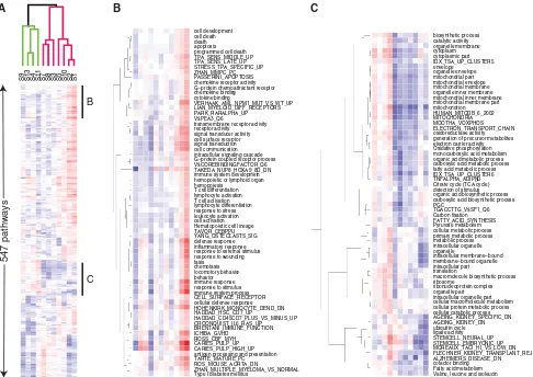 Fig. 2 Hierarchical clustering of (1) pathway’s T-scores in MCTversus PUFA comparisons and (2) subjects according to their pathwayactivity proﬁles