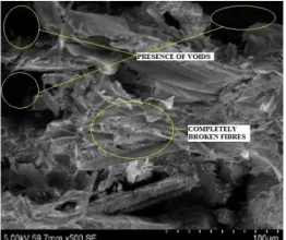 Figure 4(i). SEM studies on the effect of 30% wt Redmud on the impact strength of 10% wt banana fiber untreated composites  