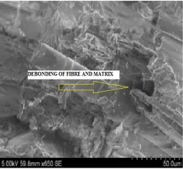 Figure 5(g).  SEM studies on the effect of 10% wt Redmud on the impact strength of 30% wt silane treated banana fiber composites  