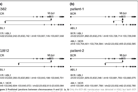 Figure 2 Predicted junctions between chromosomes 9 and 22. (a, b) Only the BCR-ABL translocation was detected in K562, but both BCRABL1 and ABL1-BCR translocations were detected in the KU812 cells and two patient samples