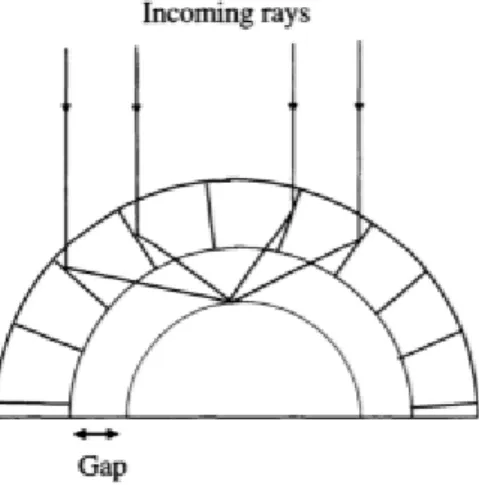 Figure 2.3 : Crustacean vision system (Benosman &amp; Sing Bing Kang, 2001) 