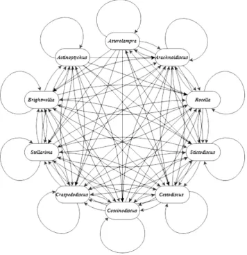 Fig. 10. Finite discrete Markov chain of centric diatom genera with arrows representing conditional probabilities from the limiting probability matrix
