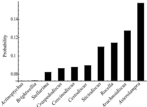 Fig. 11. Stationary probability distribution for the total complexity ﬁnite discrete Markovchain.