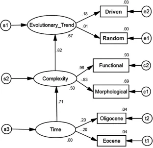 Fig. 14. SEM of labeled causal inference diagram for centric diatom genera and evolutionary trend of complexity
