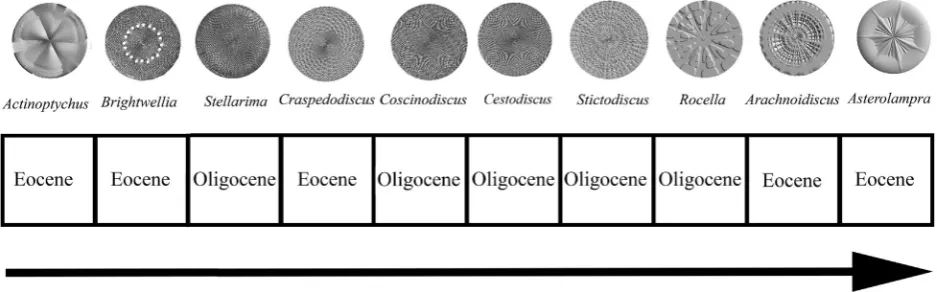 Fig. 7. 2D external unfolding non-degenerate total complexity space. See Table 3 for diagnostic measures.