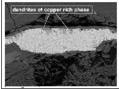 Figure 13 Image obtained by M. O. that show steel colonies that havesurvived severe corrosion observed.