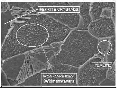 Figure 16 Image obtained by M.E.B. with backscattered electron in whichcolonies of pearlite, ferrite crystals and iron carbide type Widmanstättenwere observed in ferritic matrix