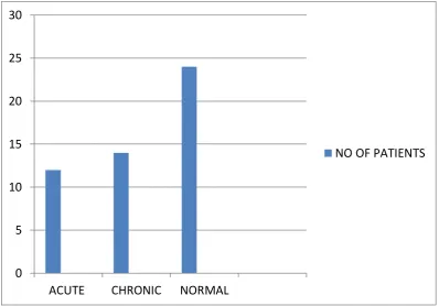 Fig  6.  Histopathological  features  of  removed  Appendix. 