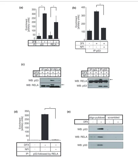 Figure 3 p53 and NF-κB form a complex and occupy the putative GIS regulatory region simultaneously