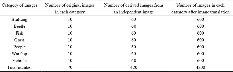 TABLE I  IMAGE DATABASES FOR THE STUDY